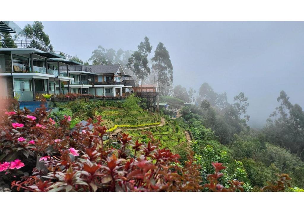 Chandys Drizzle Drops - Munnar Top Station