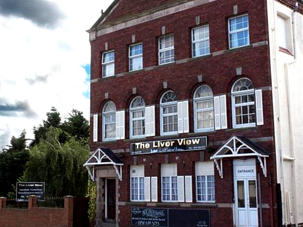 The Liver View