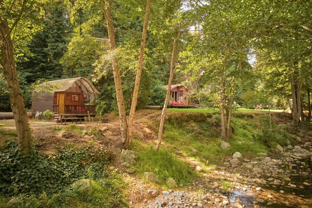 Big Sur Campground and Cabins